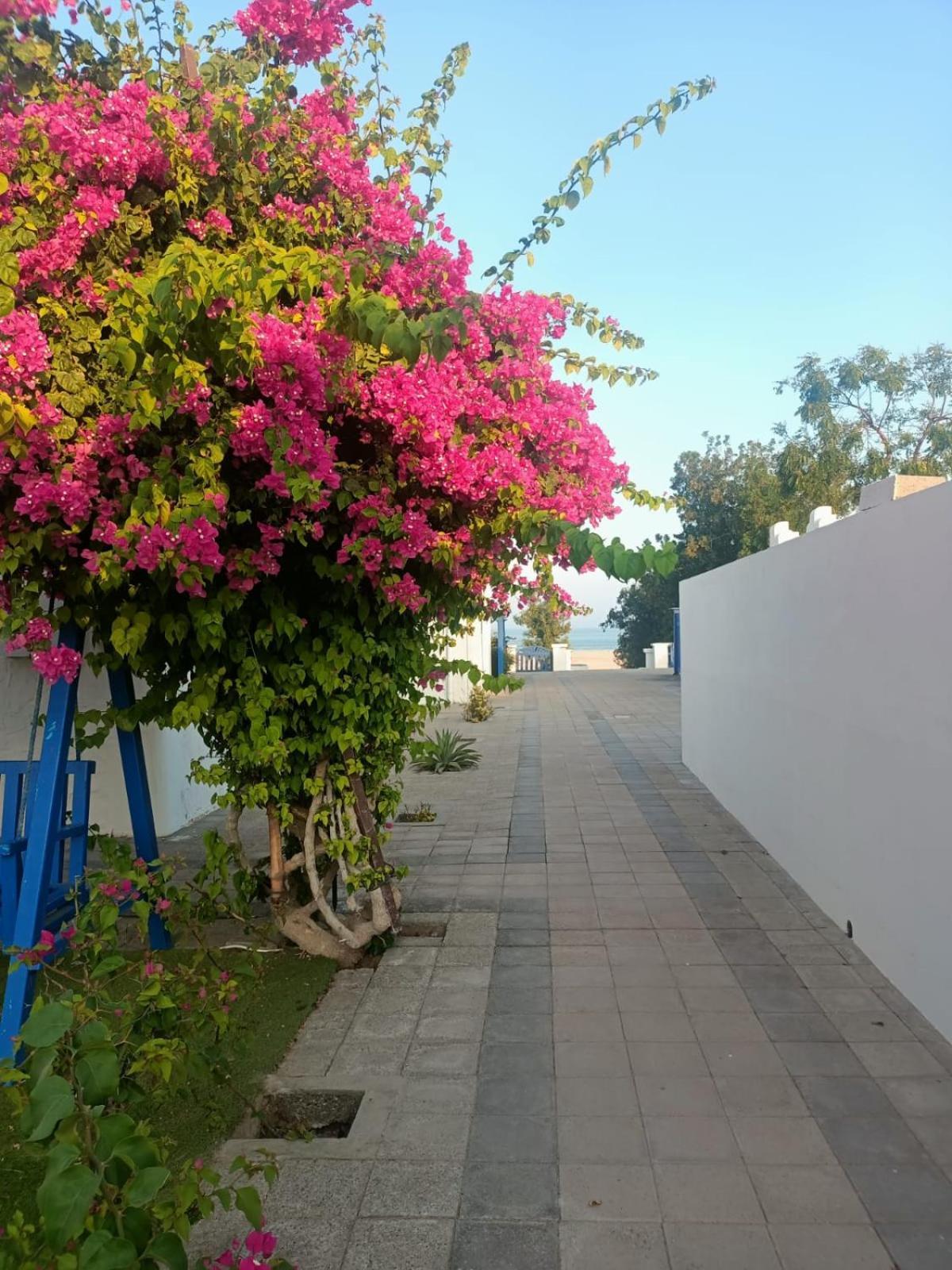 Al-Ashkhara Beach Resort منتجع شاطئ الأشخرة Al Sharqiyah Exterior foto