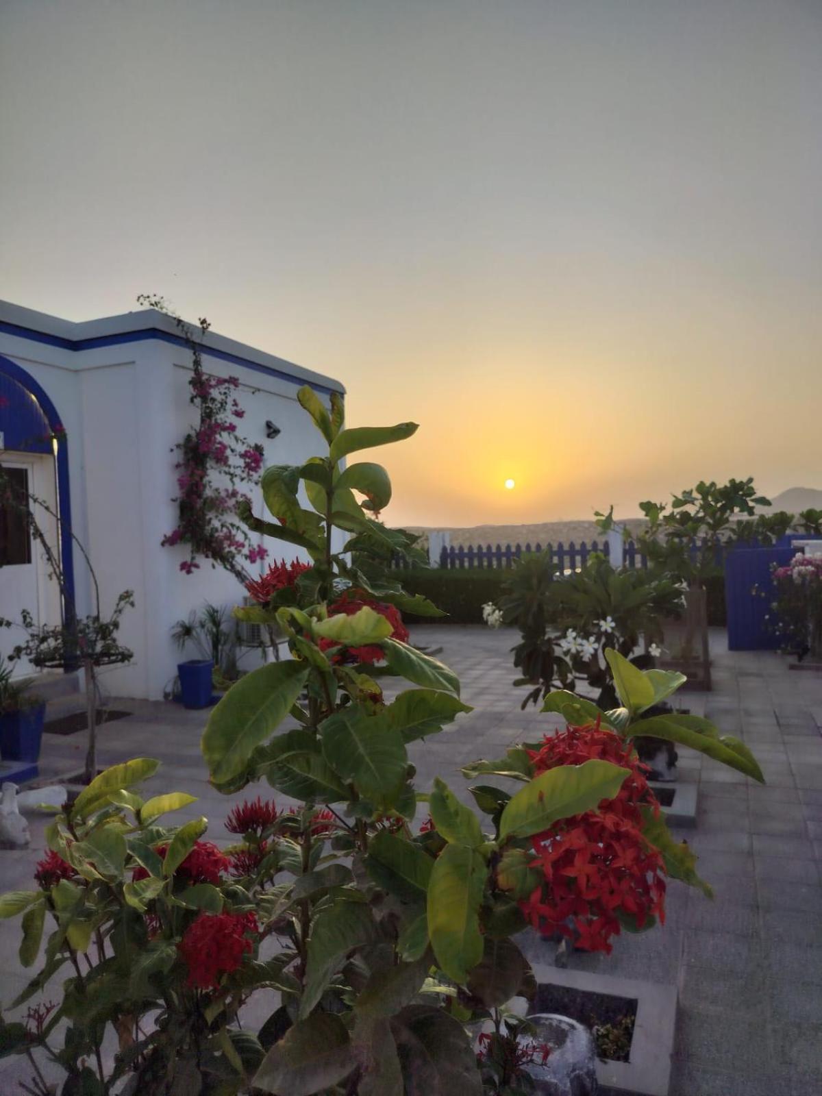 Al-Ashkhara Beach Resort منتجع شاطئ الأشخرة Al Sharqiyah Exterior foto